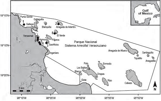 Área Protegida del Sistema Arrecifal Veracruzano de 1992