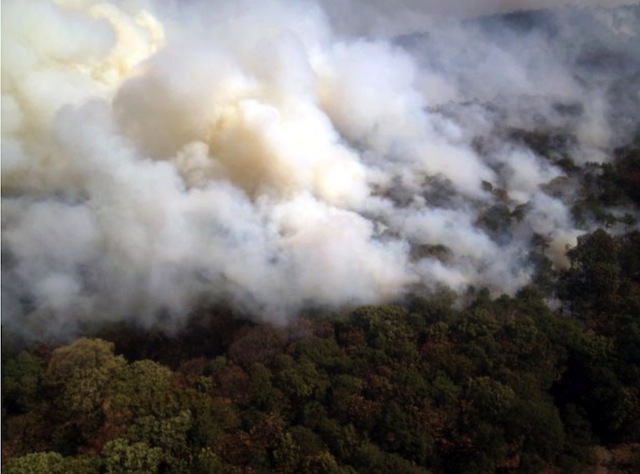 Vista aerea del incendio. Foto: Conafor