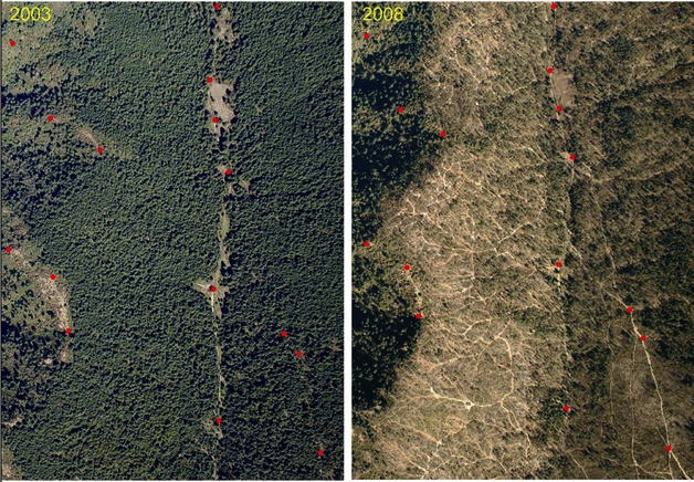 Deforestación en la zona de reproducción de la Mariposa Monarca entre los años 2004 y 2008