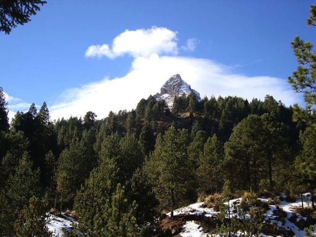 Nevado de Colima, una de las áreas protegidas que en adelante serán responsabilidad de la Semadet. Imagen CC: Jonathan F. Pérez