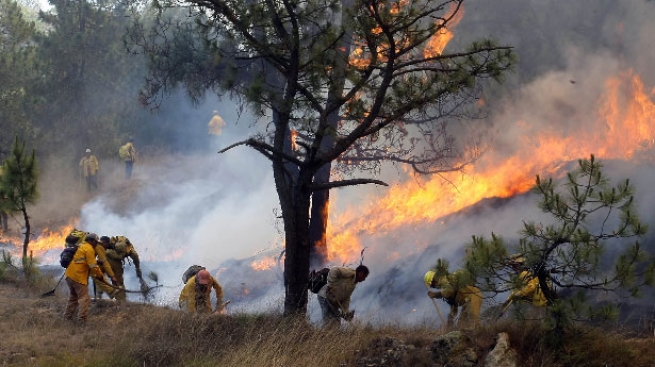 Incendio en el Bosque La Primavera. Imagen: Conafor