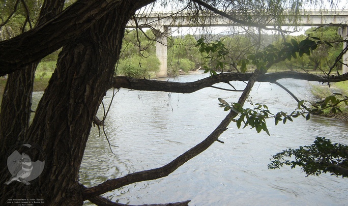 Imagen del Río Ayuquila tomada del sitio de la JIRA