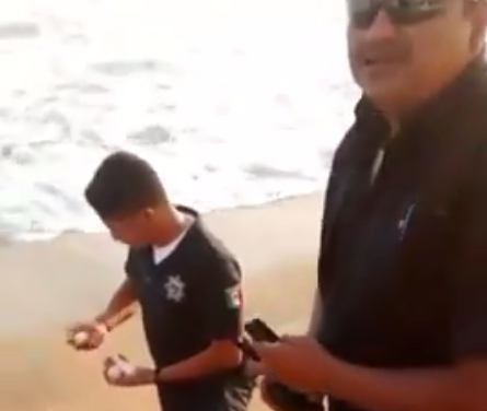 Policías de Manzanillo avientan al mar huevos de tortuga. Imagen tomada de un video de Maz Animación, de Facebook