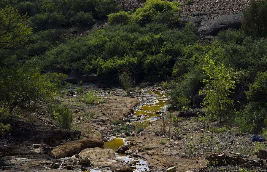 Uno de los afluentes contaminador por el derrame en la mina Buenavista, del Grupo México. Foto: Héctor Guerrero