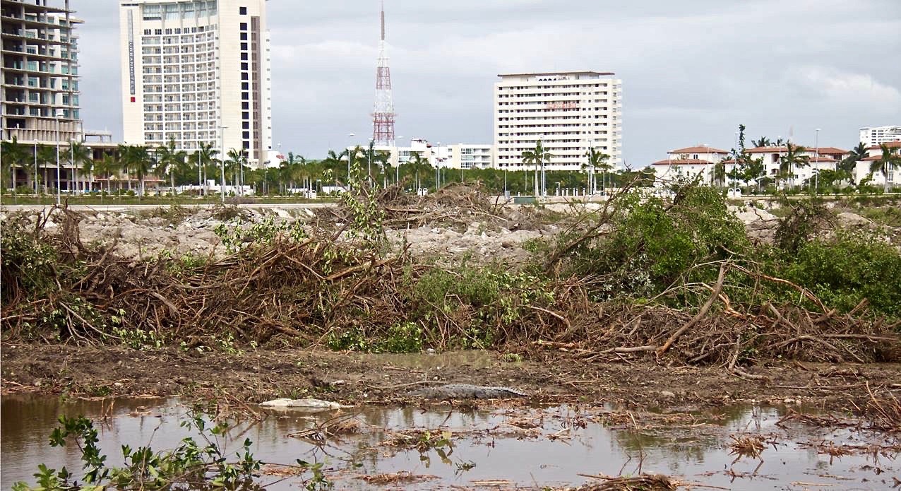 Devastación ambiental de mangle en Cancún por parte de Fonatur