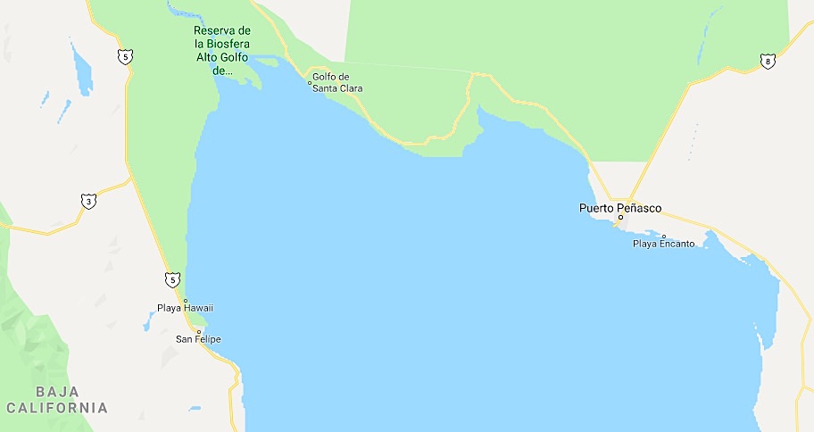 Alto Golfo de California donde habita la totoaba y la vaquita marina. Imagen de Google Maps