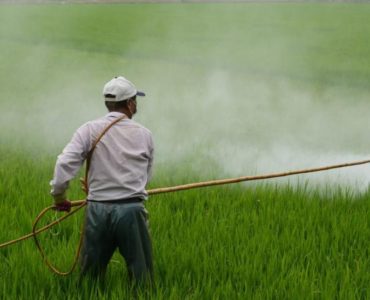 fumigación con gloifosato