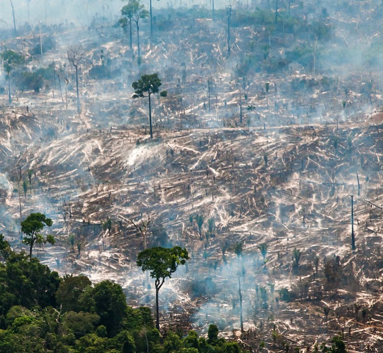 Devastación por incendios en el Amazonas. Foto: Araquém Alcântara