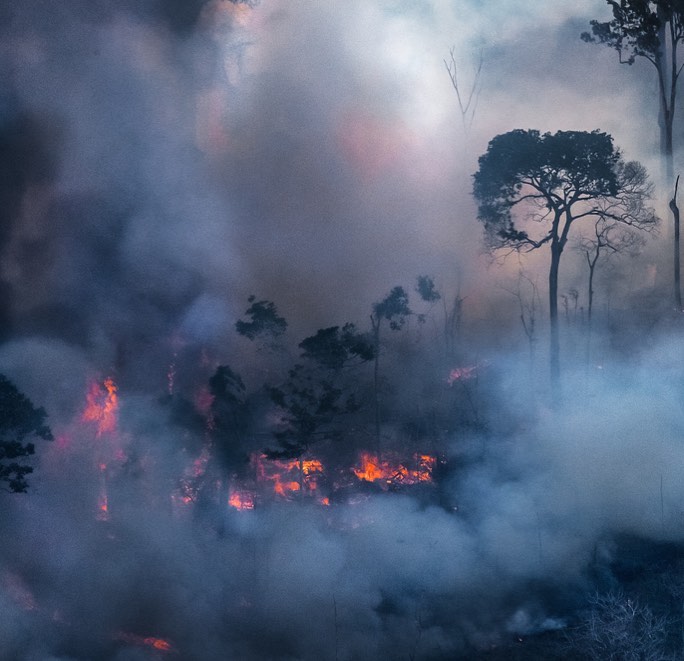 Amazonas en llamas. Foto: Araquém Alcântara