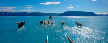 n trineo de nieve jalado por perros atraviesa el agua del deshielo en el noroeste de Groenlandia, a mediados de junio de 2019. Credit Steffen M. Olsen/Instituto Meteorológico de Dinamarca