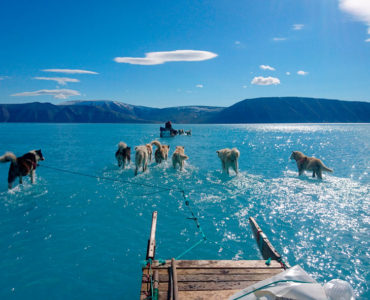 n trineo de nieve jalado por perros atraviesa el agua del deshielo en el noroeste de Groenlandia, a mediados de junio de 2019. Credit Steffen M. Olsen/Instituto Meteorológico de Dinamarca