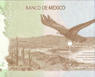 Nuevo billete de 200 pesos águila real México