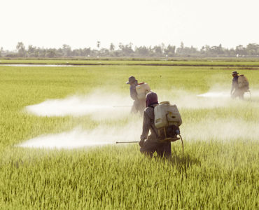 uso de pesticidas. Foto: Unión Europea