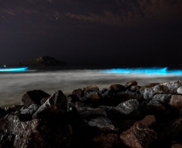 playas de mazatlán brillan de noche