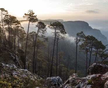 Sierra de Manantlán