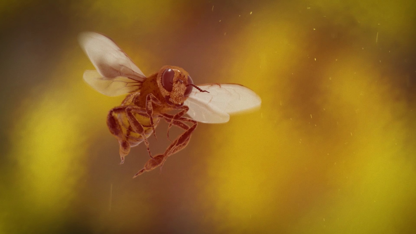 Esta no es una abeja: Cinema Planeta