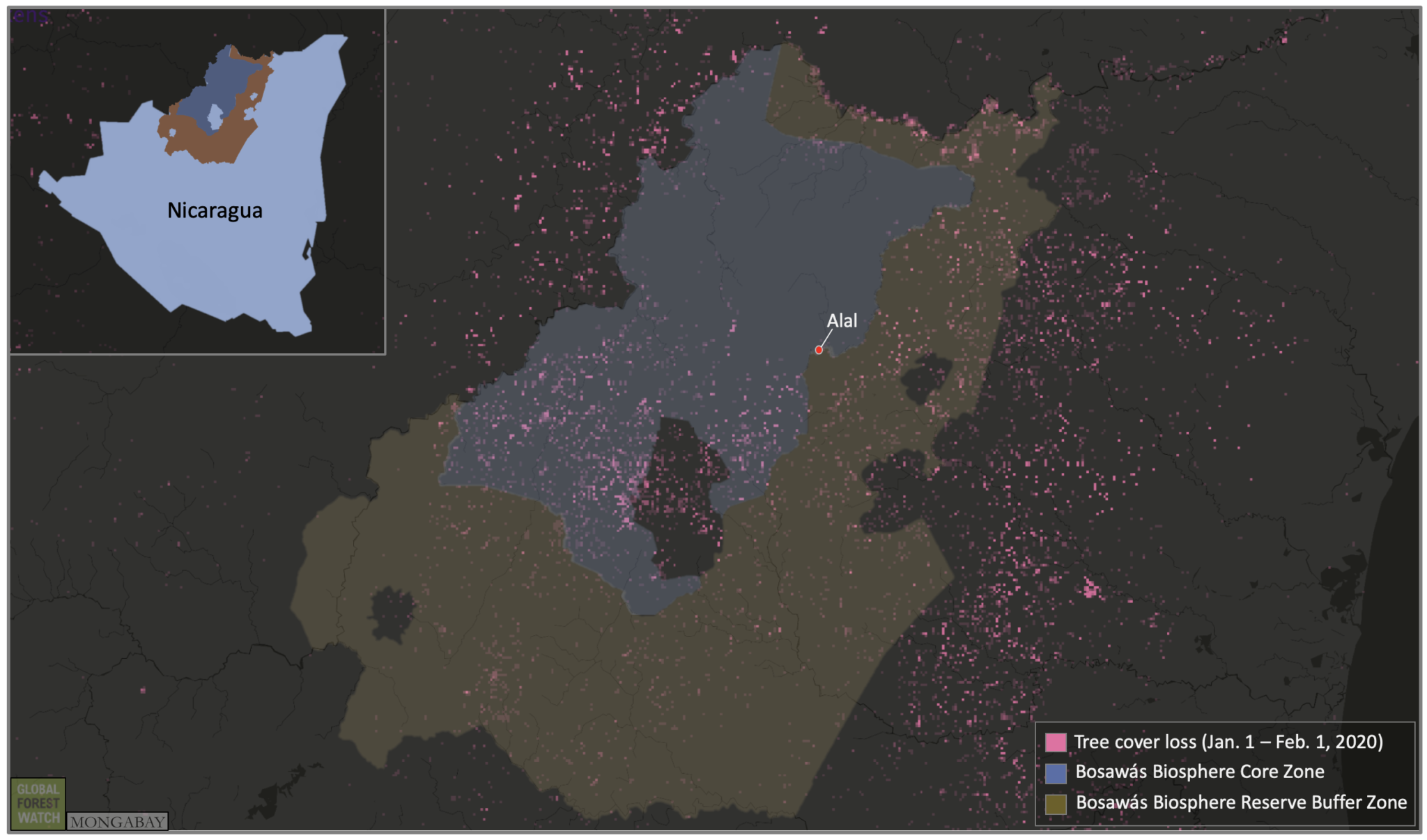 Datos por satélite muestran una gran deforestación en la Reserva de la Biosfera Bosawás en enero. Fuente: GLAD/UMD, conseguida a través de Global Forest Watch.
