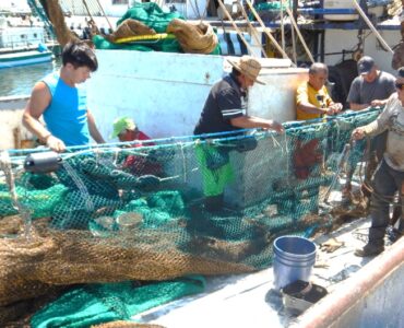 Pescadores de camarón de Campeche usan nuevas redes para evitar la pesca incidental. Foto de la FAO