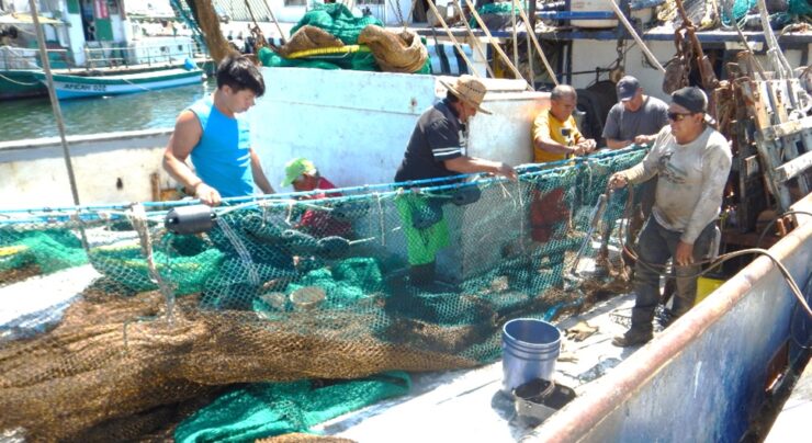 Pescadores de camarón de Campeche usan nuevas redes para evitar la pesca incidental. Foto de la FAO